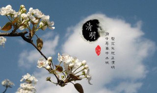 清明節(jié)掃墓的心情說說 清明節(jié)掃墓的心情說說簡短