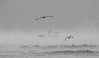 海浩奇观是什么意思 海浩奇观是什么样子