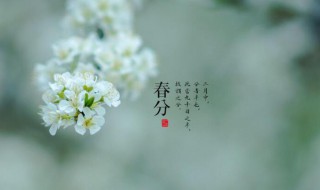 春分可以訂婚嗎 春分可不可以結婚