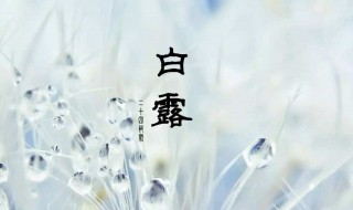 白露节气吃什么好（白露节气应该吃什么）