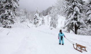 雪景拍照發(fā)朋友圈說說 雪景拍照發(fā)朋友圈說說一場冬雪一場寒,一聲問候一聲暖!