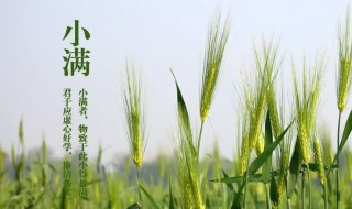 小满节气养生的注意要点 小满节气的饮食养生