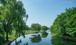 初夏是几月（初夏是几月份）