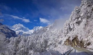 阿尔卑斯山南坡物种丰富的原因 阿尔卑斯山南坡物种丰富的原因有哪些