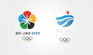 2022北京冬奥会志愿者标志 2022年北京冬奥会志愿者标志