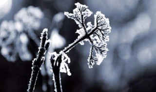 一年中最后一个季节是什么时候（一年中的最后一个节气是什么时候）