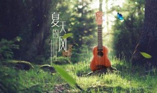 夏天的風(fēng)歌詞（夏天的風(fēng)歌詞完整版）