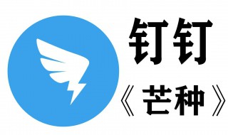 钉钉怎样半屏（钉钉怎样半屏播放）