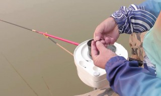 蚯蚓綁魚鉤釣魚技巧（蚯蚓綁魚鉤釣魚技巧圖解）