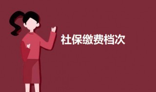 社保繳費(fèi)檔次（社保繳費(fèi)檔次怎么選）