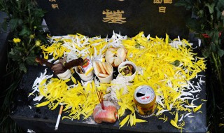 清明节悼念逝者买什么花合适 祭奠逝者买什么花