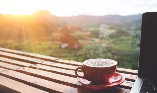 世界上最早种植咖啡的国家是 世界上最早种植咖啡的国家是?