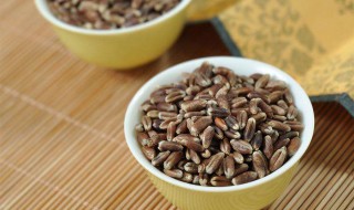 五谷杂粮有哪些粮(五谷杂粮有哪些粮食种类)