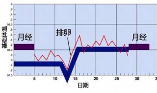 怎樣計算排卵期（月經(jīng)不規(guī)律怎樣計算排卵期）