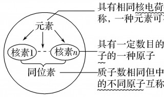 阳离子都带什么电荷（阳离子带什么电荷?）