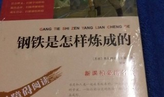 钢铁是怎样炼成的读后感200字（钢铁是怎样炼成的读后感200字左右）