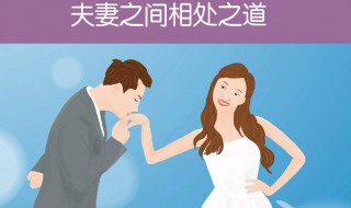 夫妻相处之道（夫妻相处之道精辟总结）