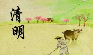 清明時(shí)節(jié)雨紛紛全詩意思（古詩《春雨》杜甫）