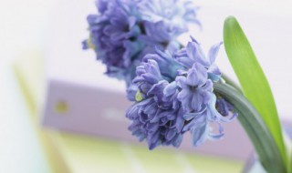 谷雨时节的诗（有关谷雨时节的诗）