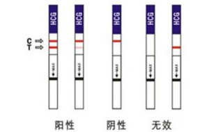 试纸怎么用 试纸怎么用教程