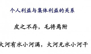 个人利益与集体利益的关系（个人利益与集体利益的关系七年级政治）