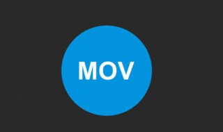 mov格式是什么 mov格式是什么文件