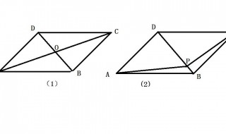 平行四边形对角线有几条（平行四边形的对角线都互相平分吗）