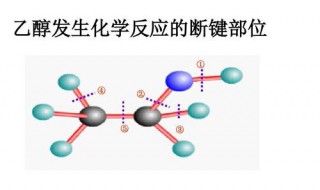 乙醇的化学性质 乙醇的化学性质及化学方程式