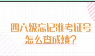 四六级准考证号忘了怎么查分（四六级准考证号忘记了怎么查成绩）