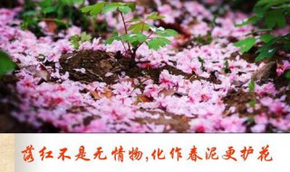 落紅不是無(wú)情物化作春泥更護(hù)花賞析（落紅不是無(wú)情 物化作春泥更護(hù)花 哲理）