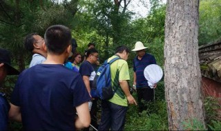 有害生物防治什么意思 有害生物防治概念