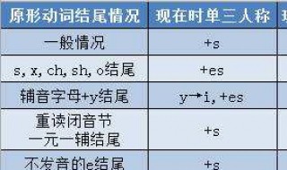 動(dòng)詞第三人稱單數(shù)如何變化 動(dòng)詞第三人稱單數(shù)變化規(guī)則表格