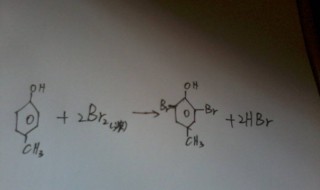 苯酚与溴水反应的方程式 苯酚与溴水反应的方程式是什么