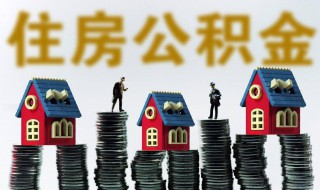 住房公积金怎么算（住房公积金怎么算基数）