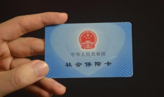 广州社保积分怎么查询（广州社保积分怎么查询不到）