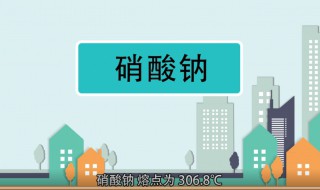 硝酸钠的化学式（硝酸钠的化学式量）