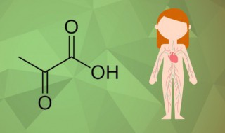 丙酮酸化学式 丙酮酸的化学组成