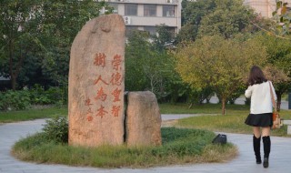 浙江树人大学是几本 浙江树人大学是几本学费