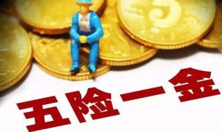 五險(xiǎn)一金繳納查詢（五險(xiǎn)一金繳納查詢怎么查）