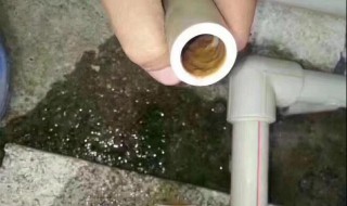 水管里面有绿苔怎么冲洗干净? 水管里生绿苔怎么办