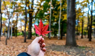 一年四季如何分几个月（一年四季如何分几个月到几月）