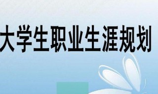 职业生涯规划书格式 大学生职业生涯规划书格式