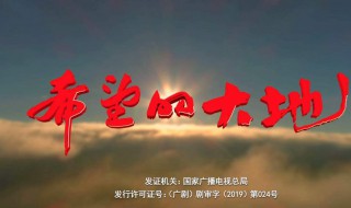 希望的大地評價(jià)（希望的大地 評價(jià)）