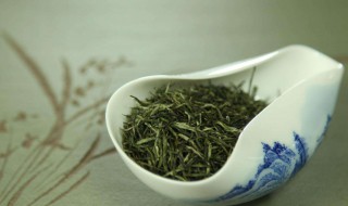 信阳毛尖茶介绍（信阳毛尖茶是什么茶）