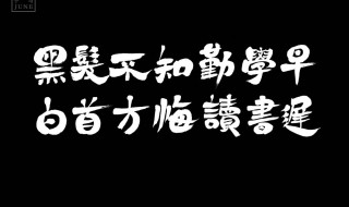 黑發(fā)不知勤學(xué)早的下一句 黑發(fā)不知勤學(xué)早的下一句是什么