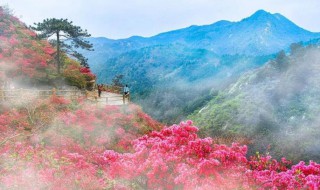 武汉周边一日游攻略（武汉周边一日游攻略自驾游）