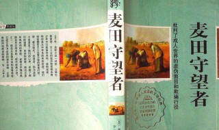 麦田守望者读后感 麦田守望者读后感800字