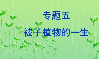 被子植物的一生知识点（被子植物的一生知识点思维导图）