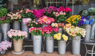 夏天花店鲜花保存方法（花店鲜花如何储藏）