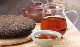 广别老寨古树茶口感特点（广别老寨古树茶价格）